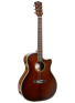 Essence-GA4 Special (Brown Burst Semi Gloss), зображення 1
